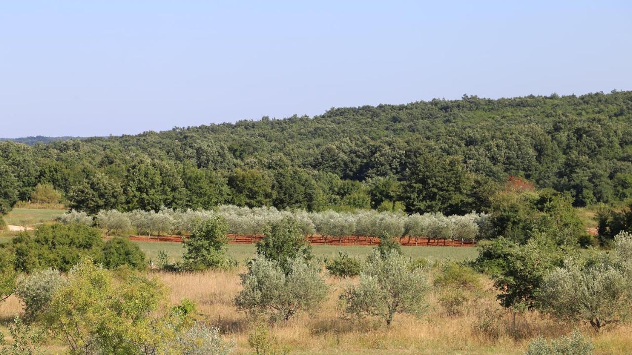 Casa Conte Istria Villa กานฟานาร์ ภายนอก รูปภาพ